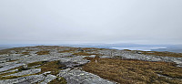 ghhanssen_20240902_66d5515696792.jpg