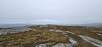 ghhanssen_20240902_66d55158a428e.jpg