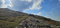 ghhanssen_20240907_66dcb93b82e30.jpg