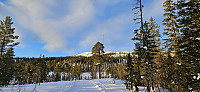 ghhanssen_20250112_678426f004957.jpg