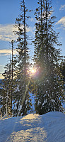 ghhanssen_20250112_678426f109d7a.jpg