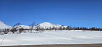 ghhanssen_20250324_67e15d60c9a50.jpg