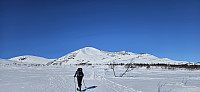 ghhanssen_20250324_67e15d61c0b79.jpg