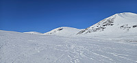 ghhanssen_20250324_67e15d649a877.jpg
