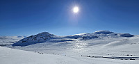 ghhanssen_20250324_67e15d72ba125.jpg