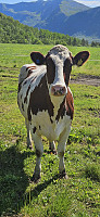 ghhanssen_20250810_6898ae6b261ed.jpg