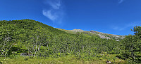 ghhanssen_20250810_6898ae6da70d1.jpg