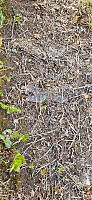 ghhanssen_20250810_6898c8f408601.jpg