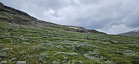 ghhanssen_20250810_6898c8f779d7b.jpg