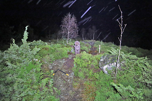 Møkkalei warp-speed regn+vind. Tok en vedligeholdsøkt i skogen istedet...