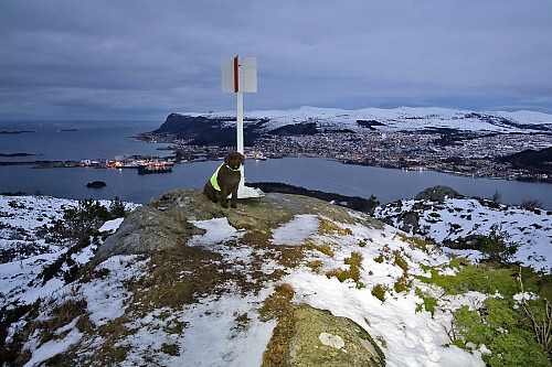 En fin spasertur til Høgåsen etter skitur på Røddalshorn