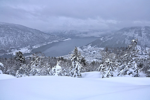Sogndal sett fra Skjeggen. 2m snø!