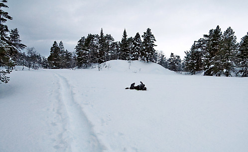 1,5m snø men Karma kom seg opp. Og fant en flekk som bar hennes vekt også...