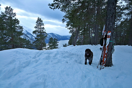 På Amlaholten for første gang på ski...