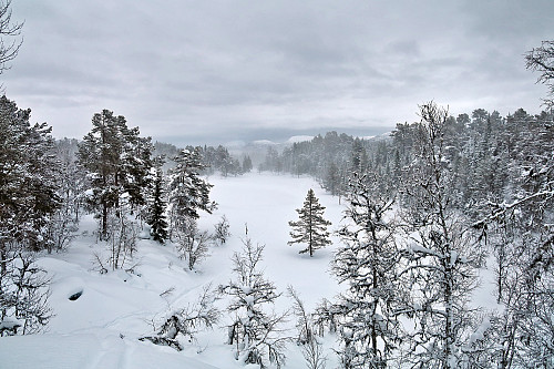 Etter snøvær hele dagen klarnet det opp da vi var på høyeste punkt. Delvis nydelig skikjøring ned skogen. De harde partiene i tettskogen var det bare å holde ut med
