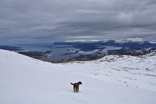 Sprek rundtur på ski, til fots og på sykkel. Dårlig lys, men fantastisk snø!