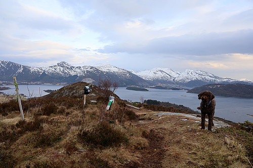 På toppen av Røyrafjellet