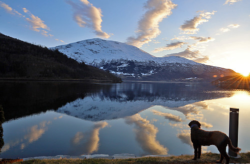 Tur med bikkja i Loen, på vei hjem fra Sogndal