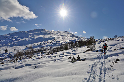 Vinteren - og fantastisk snø er tilbake på Ytre Søre...