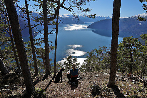 Vi nyter utsikten mot Sognefjorden