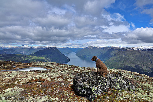 Vi ser etter en vel ned fra Solvornnipa/Skurva til Solvorn (vi kom fra Barsnes)