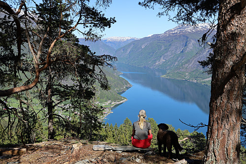 Utsikt mot Lusterfjorden fra Hærishovden