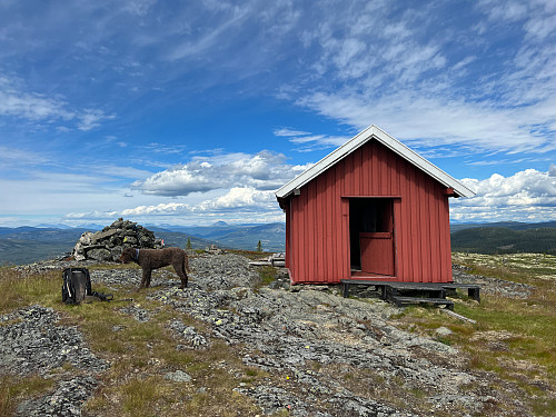 Morsom topp - og det vi fant inne i hytten var overraskende!