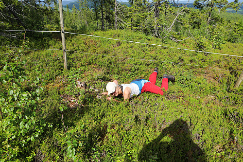 Warning! The path from Bjønnabettet does not lead to the high point!