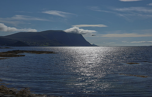 Fin utsikt mot sjøen fra Herøya