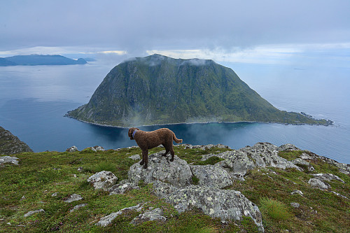 Skorpa sett fra Rjåhornet