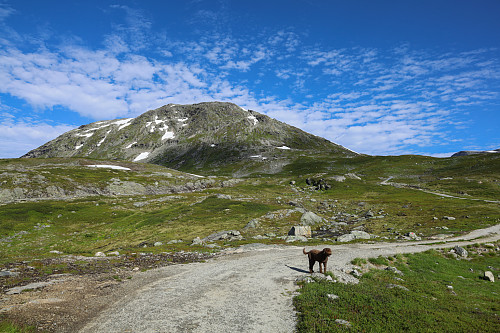 På vei til Rundegga