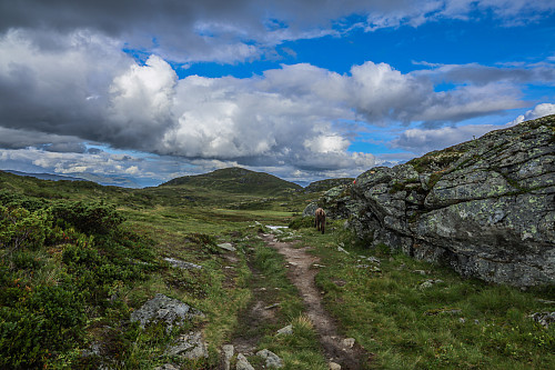 På vei mot Nuken (fra Åsen)