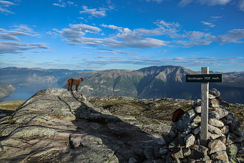 På Storehaugfjellet. Høyden på skiltet er fremdeles feil...