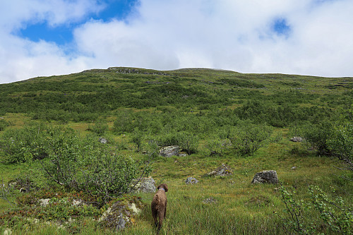 På vei mot Fossenibba