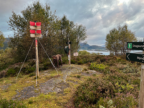 Rambjøra - skogstoppen rett bak huset...