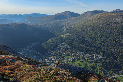 Utsikt mot Stryn