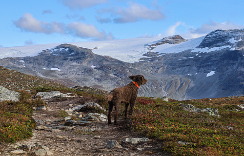 Mye fint å se på, fra Støyvafjellet