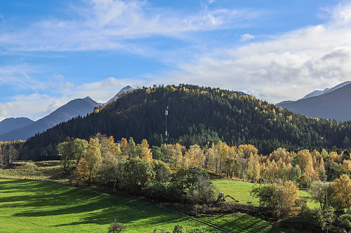 Høgåsen