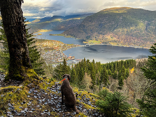 Passering av et av de ytterst sjeldne utsiktspunktene i denne skogen