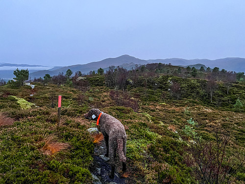 På vei over Rambjøra, med Huldrehornet og Rjåhornet i bakgrunnen
