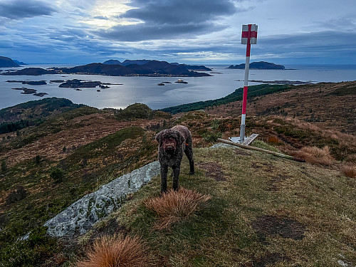 På Høgskjerfva over Ulsteinvik