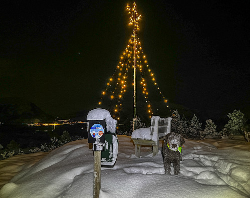 Julestemning på Djupvikhaugen