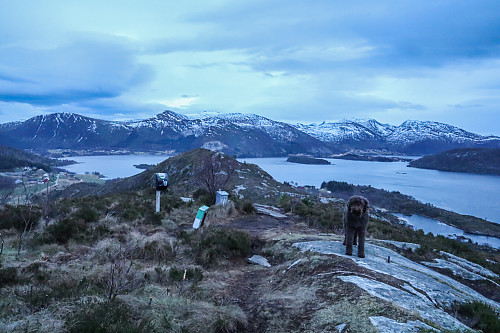 On Røyrafjellet