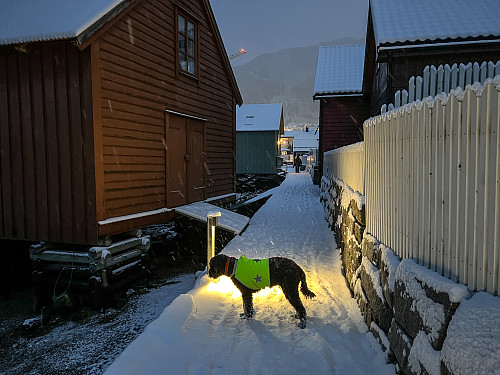 Fin kveldstur langs "fjøra"