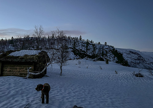 Mye snø. Tung tur!