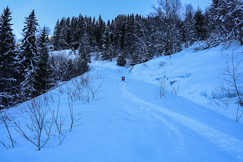 Nydelig nedkjøring fra Stedjeåsen, mot Skjeldestad