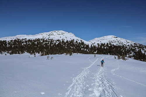 Bratt nedkjøring fra Killiknappen, på smale ski