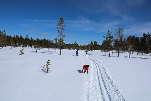 Skitur over Leggingshøgda, fra Storkaldingen
