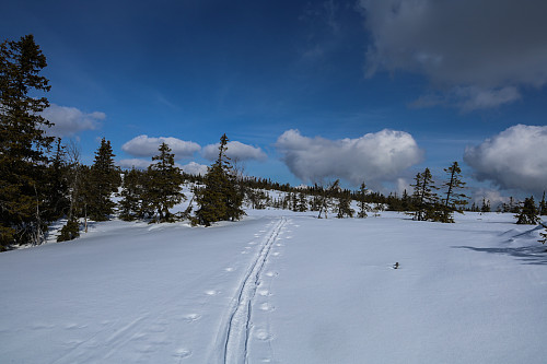 På vei mot Framstadsæterfjellet
