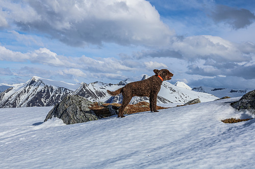 En nydelig dag på Ytre Søre Sunnmøre